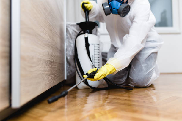 Best Pest Control Cost  in Patrick Springs, VA