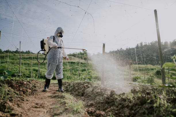 Best Termite Control Services  in Patrick Springs, VA
