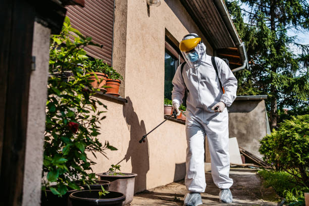 Best Affordable Pest Control Services  in Patrick Springs, VA