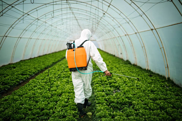 Best Pest Control Near Me  in Patrick Springs, VA
