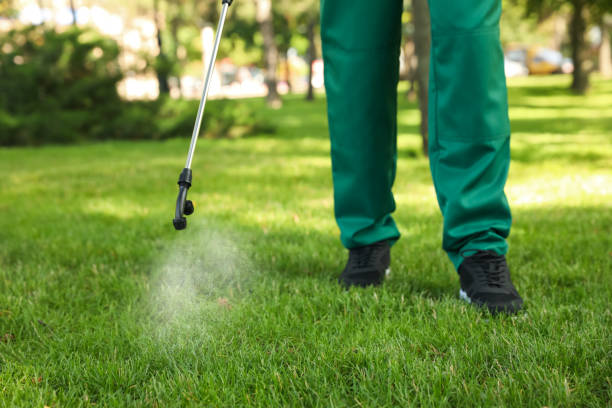 Best Affordable Pest Control Services  in Patrick Springs, VA