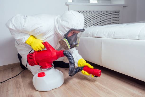 Best Affordable Pest Control Services  in Patrick Springs, VA