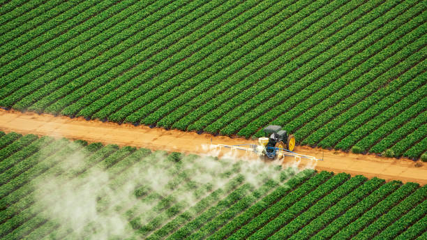 Pest Control Cost in Patrick Springs, VA