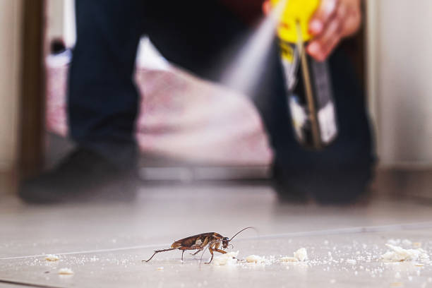 Best Cockroach Control Services  in Patrick Springs, VA