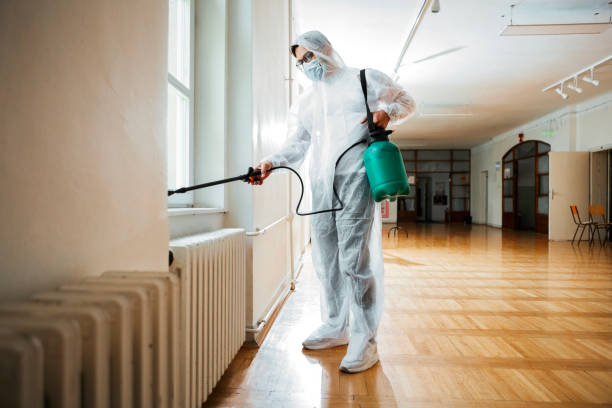 Best Residential Pest Control  in Patrick Springs, VA