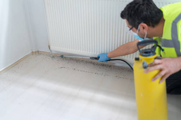 Professional Pest Control in Patrick Springs, VA